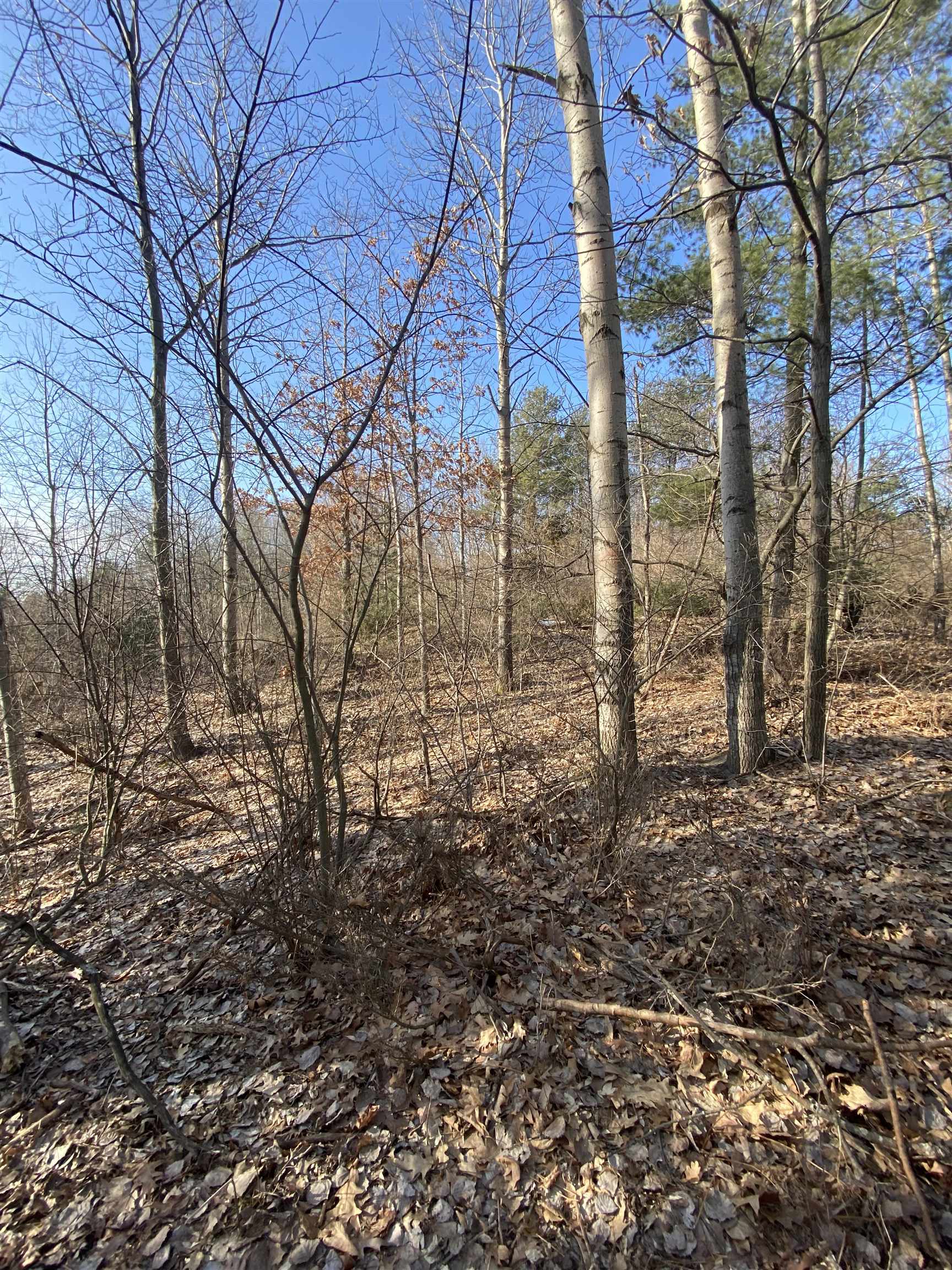 Lot 33 Scenic Hills Drive Acme Township MI 49690