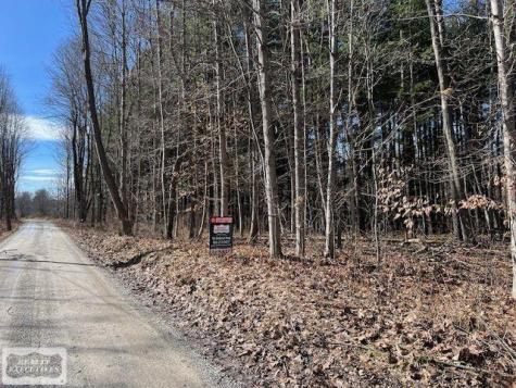 0 Burton Road Mussey Township MI 48014