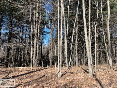 0 Burton Road Mussey Township MI 48014