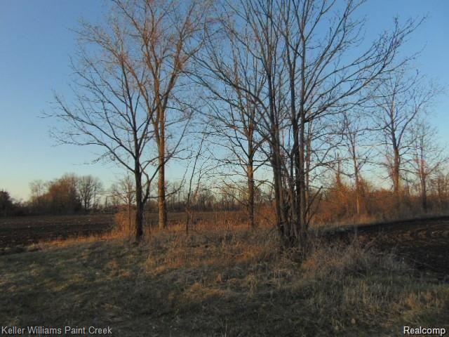 73636 Mc Kay Road Bruce Township MI 48065