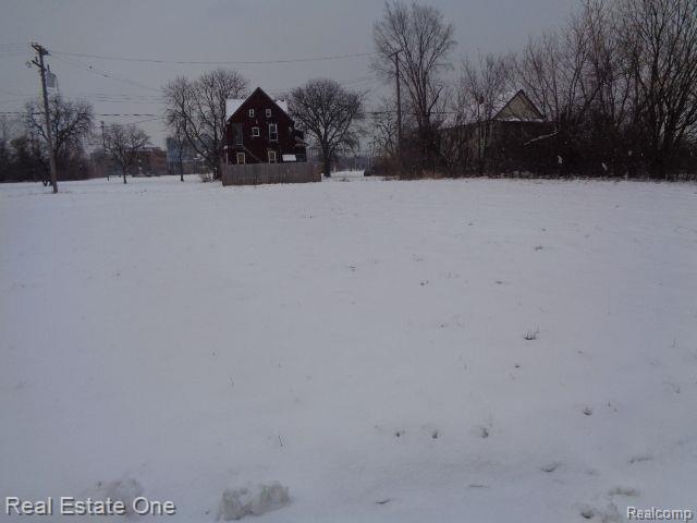 446 Concord Street Detroit City MI 48207