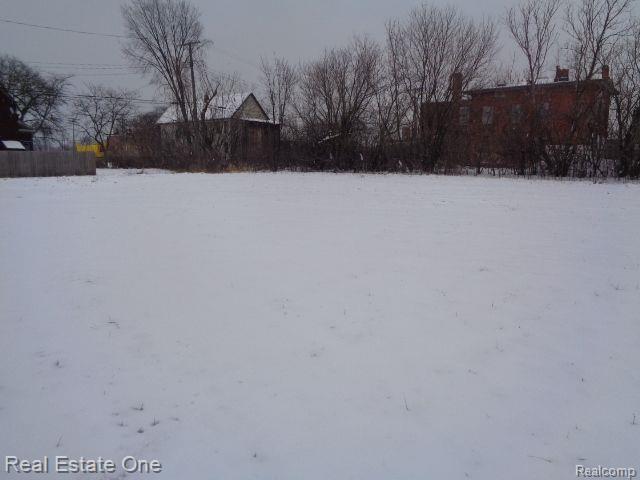 446 Concord Street Detroit City MI 48207