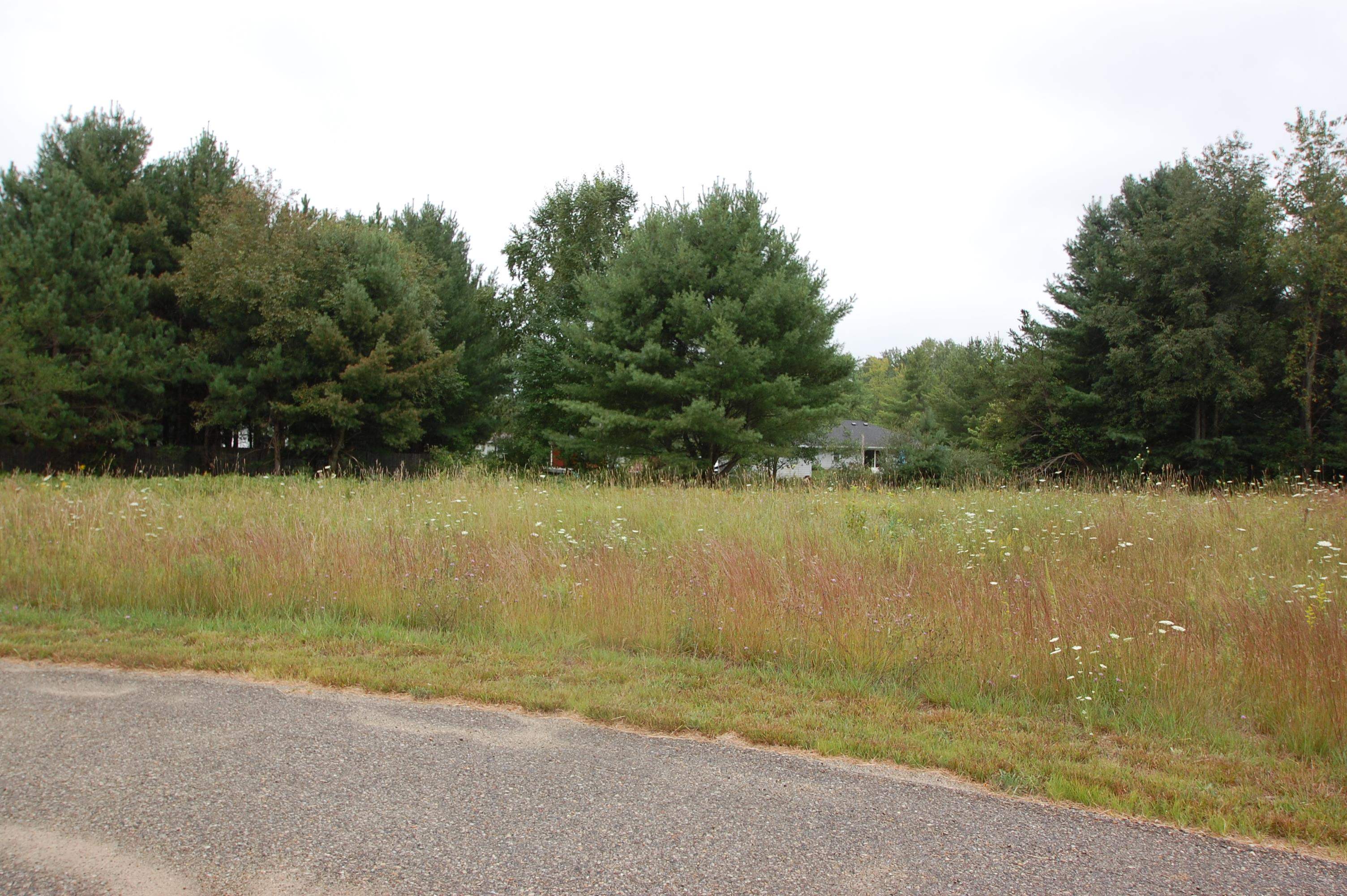 0 Arthur Court West Branch Township MI 48661