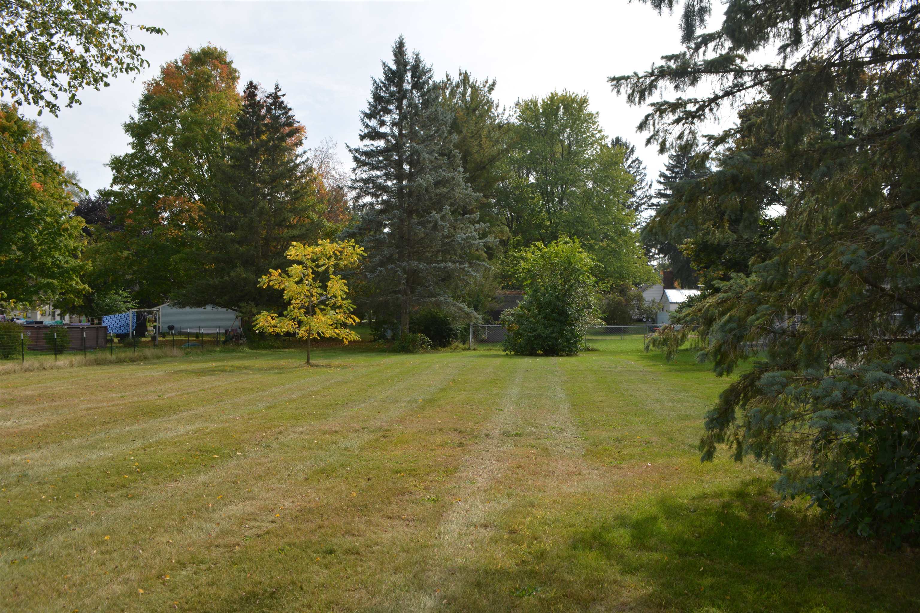 Tbd E Pickard Road Mt. Pleasant City MI 48858