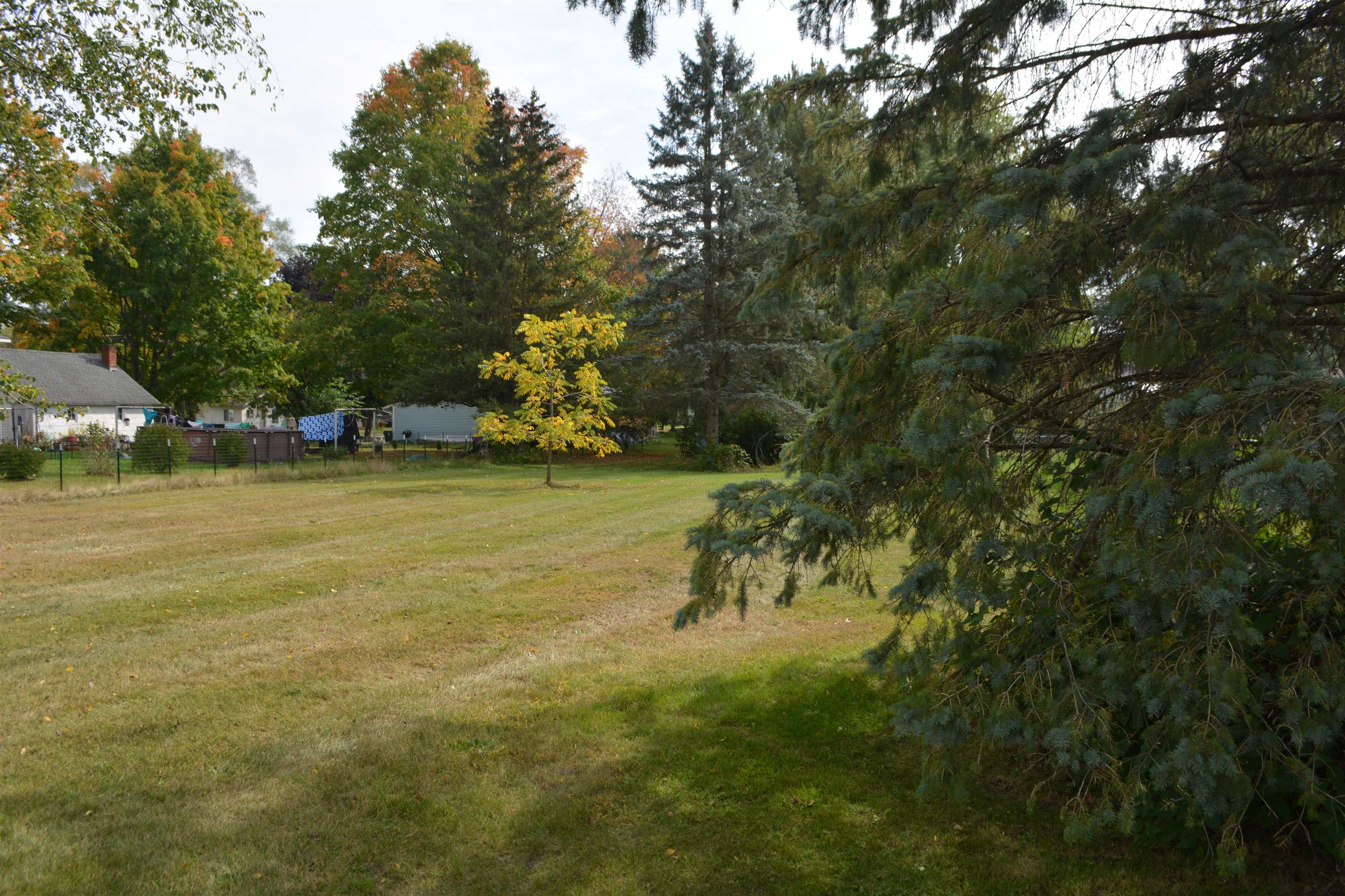 Tbd E Pickard Road Mt. Pleasant City MI 48858