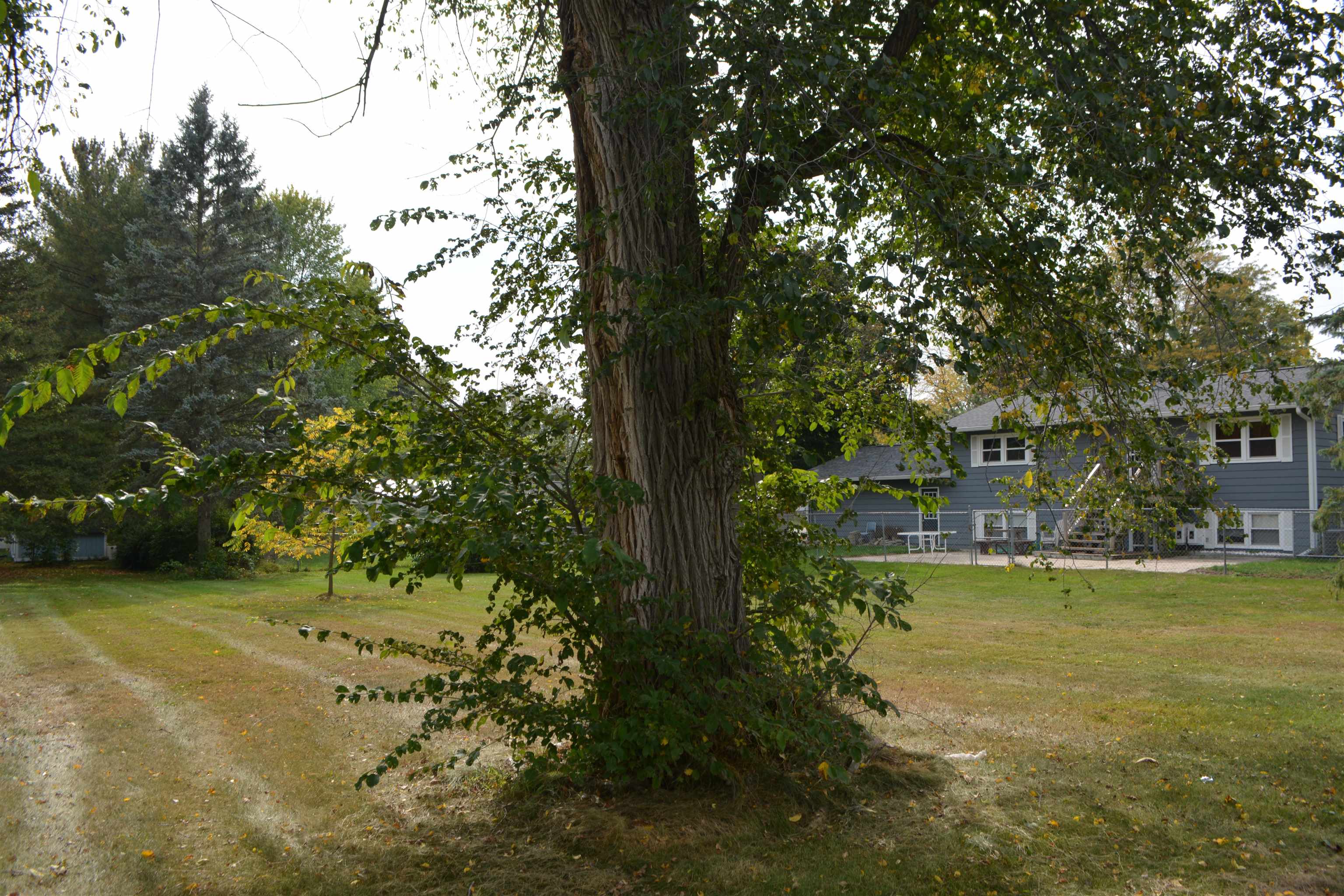 Tbd E Pickard Road Mt. Pleasant City MI 48858