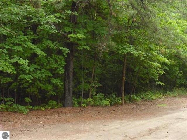 Parcel F4 Jackson Creek Road Paradise Township MI 49649