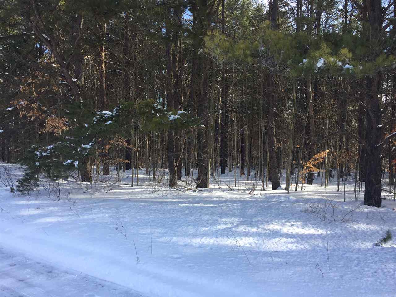 Parcel F4 Jackson Creek Road Paradise Township MI 49649
