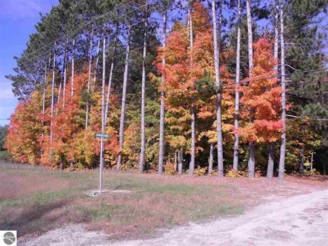 Parcel F4 Jackson Creek Road Paradise Township MI 49649
