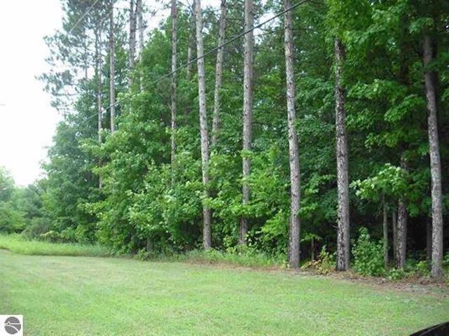 Parcel F4 Jackson Creek Road Paradise Township MI 49649