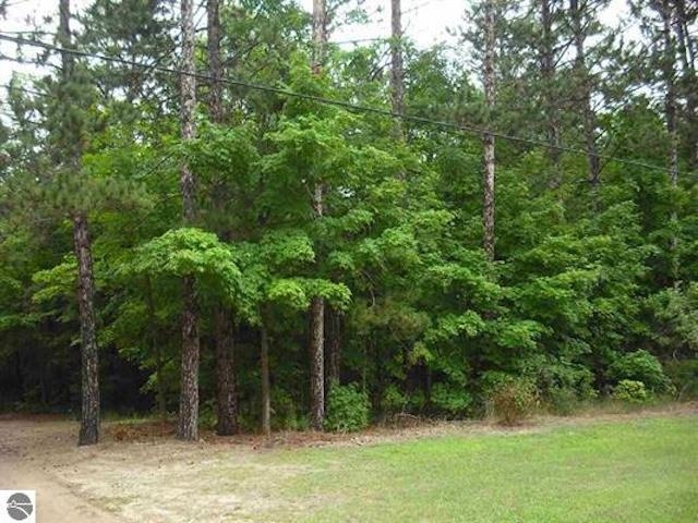 Parcel F4 Jackson Creek Road Paradise Township MI 49649