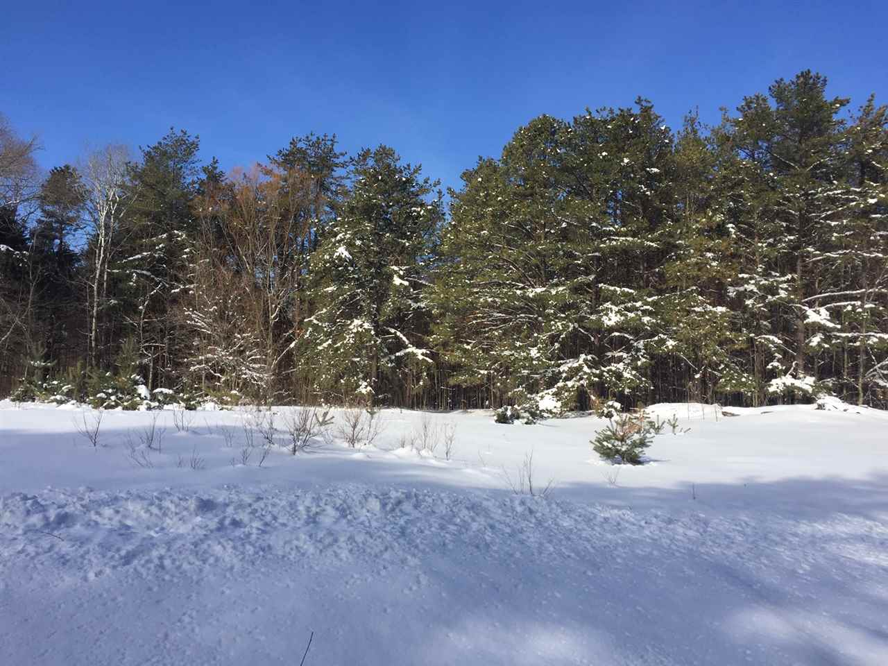 Parcel F4 Jackson Creek Road Paradise Township MI 49649