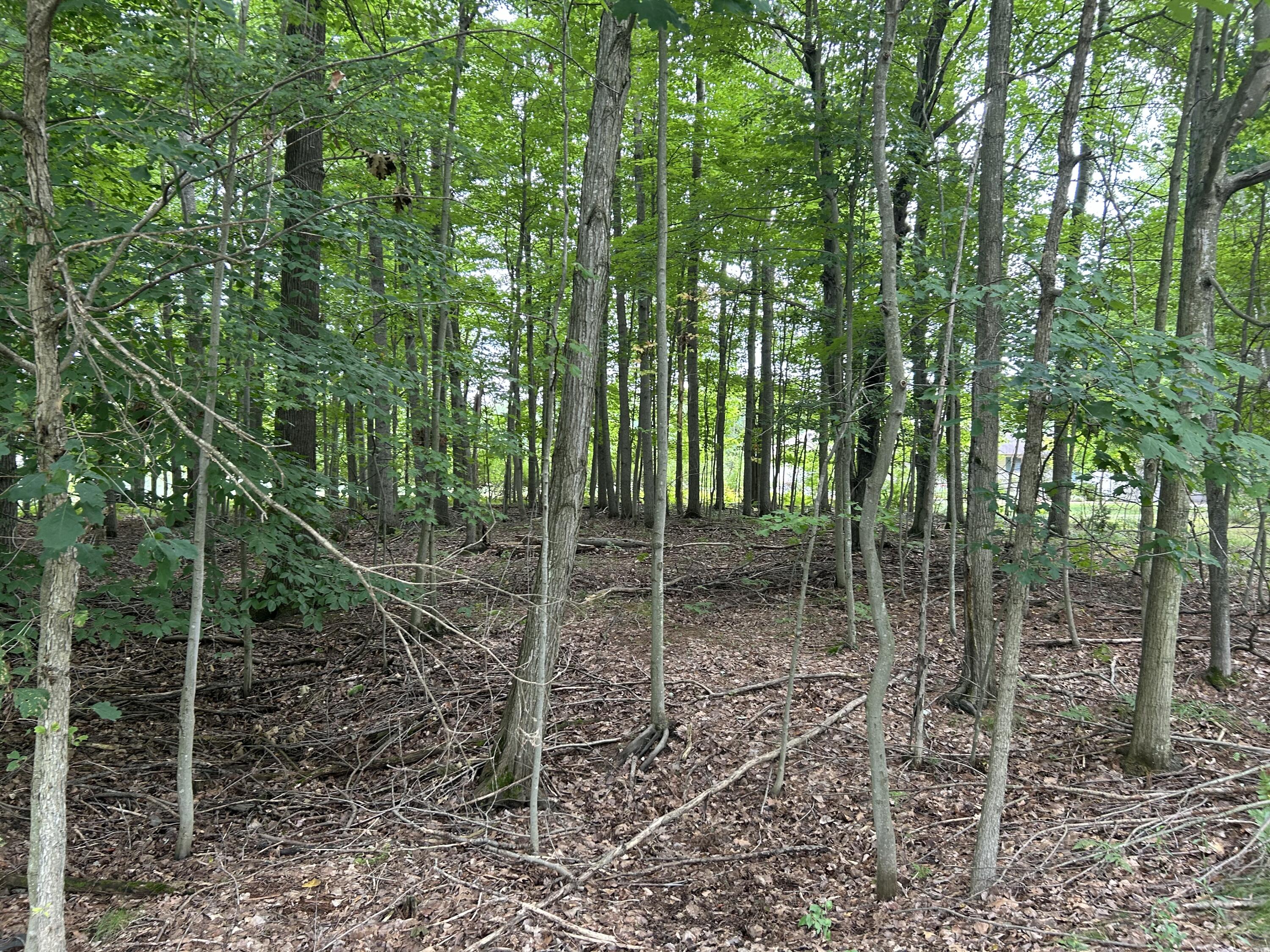 9523 Fawn Ridge Road Morton Township MI 49346