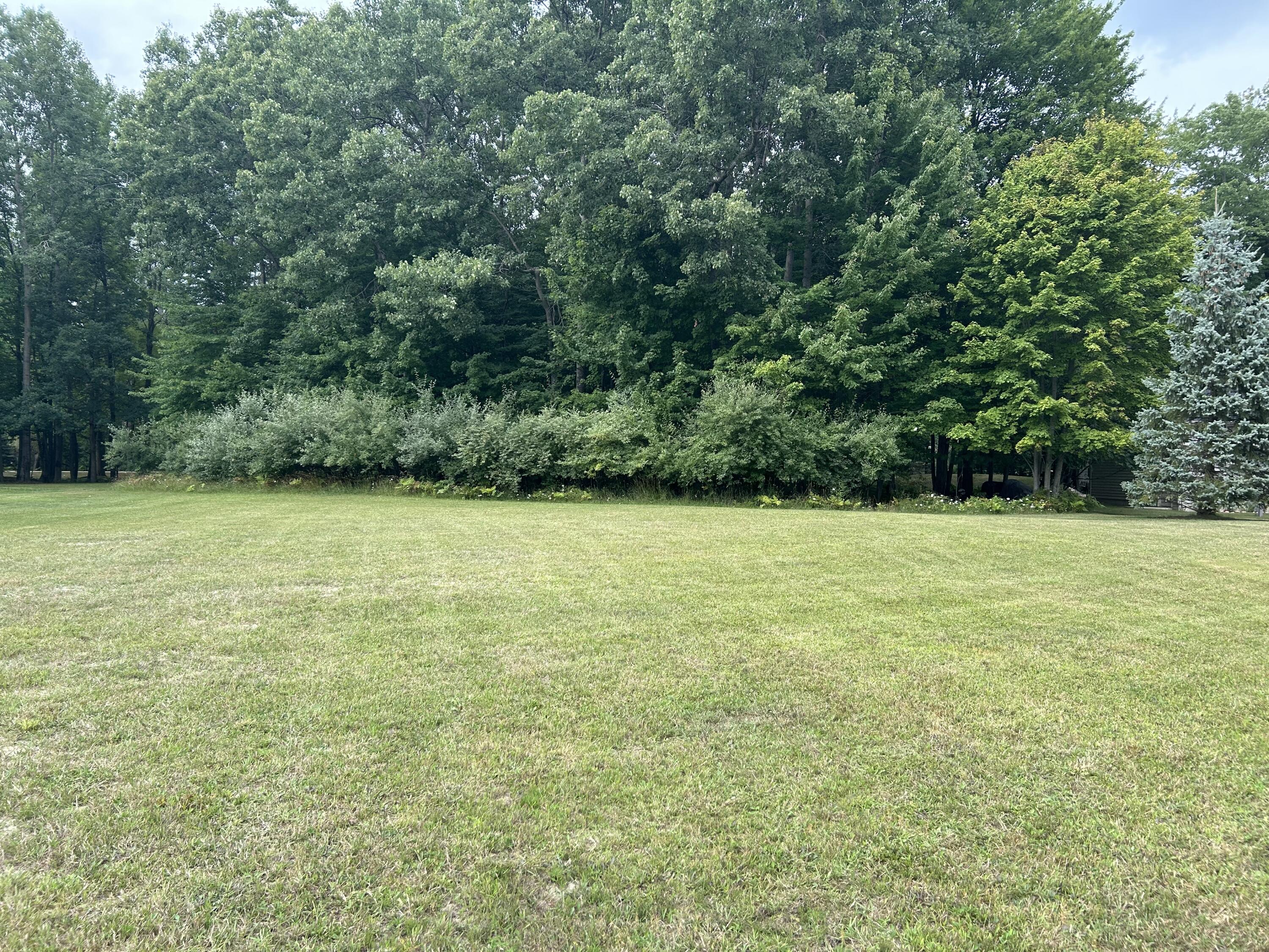 9523 Fawn Ridge Road Morton Township MI 49346