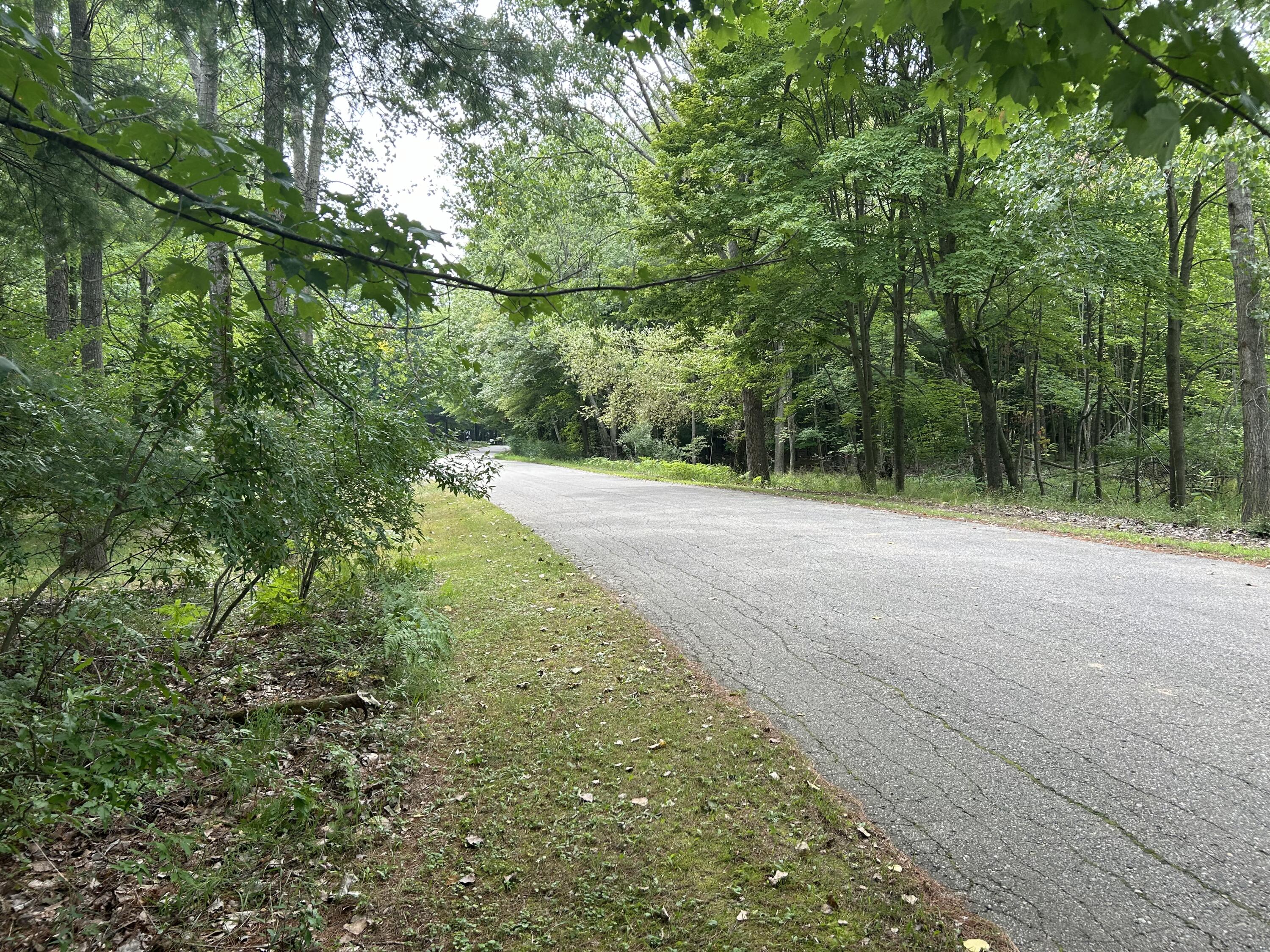 9523 Fawn Ridge Road Morton Township MI 49346
