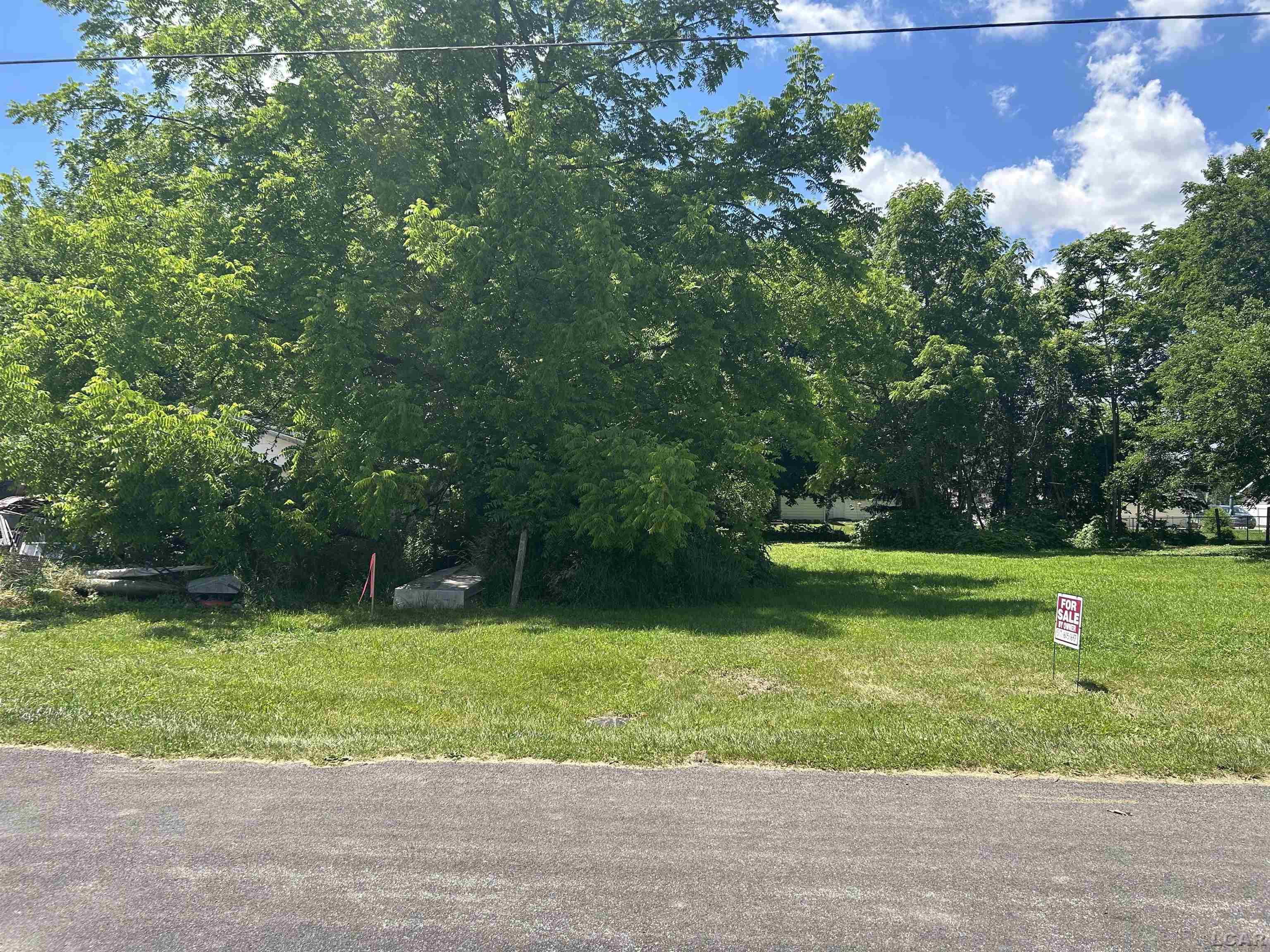710 Parkwood Avenue Blissfield Village MI 49228
