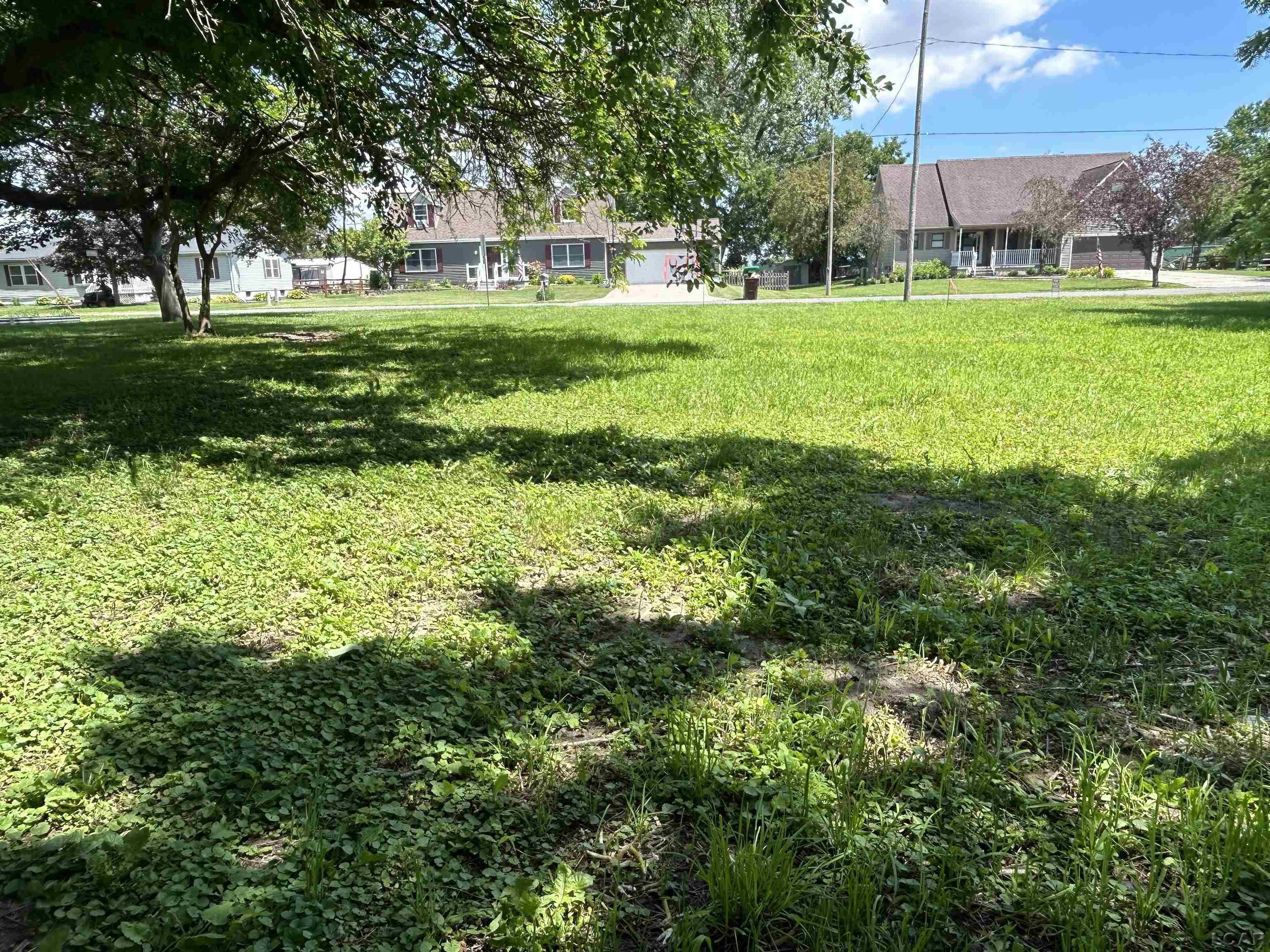 710 Parkwood Avenue Blissfield Village MI 49228