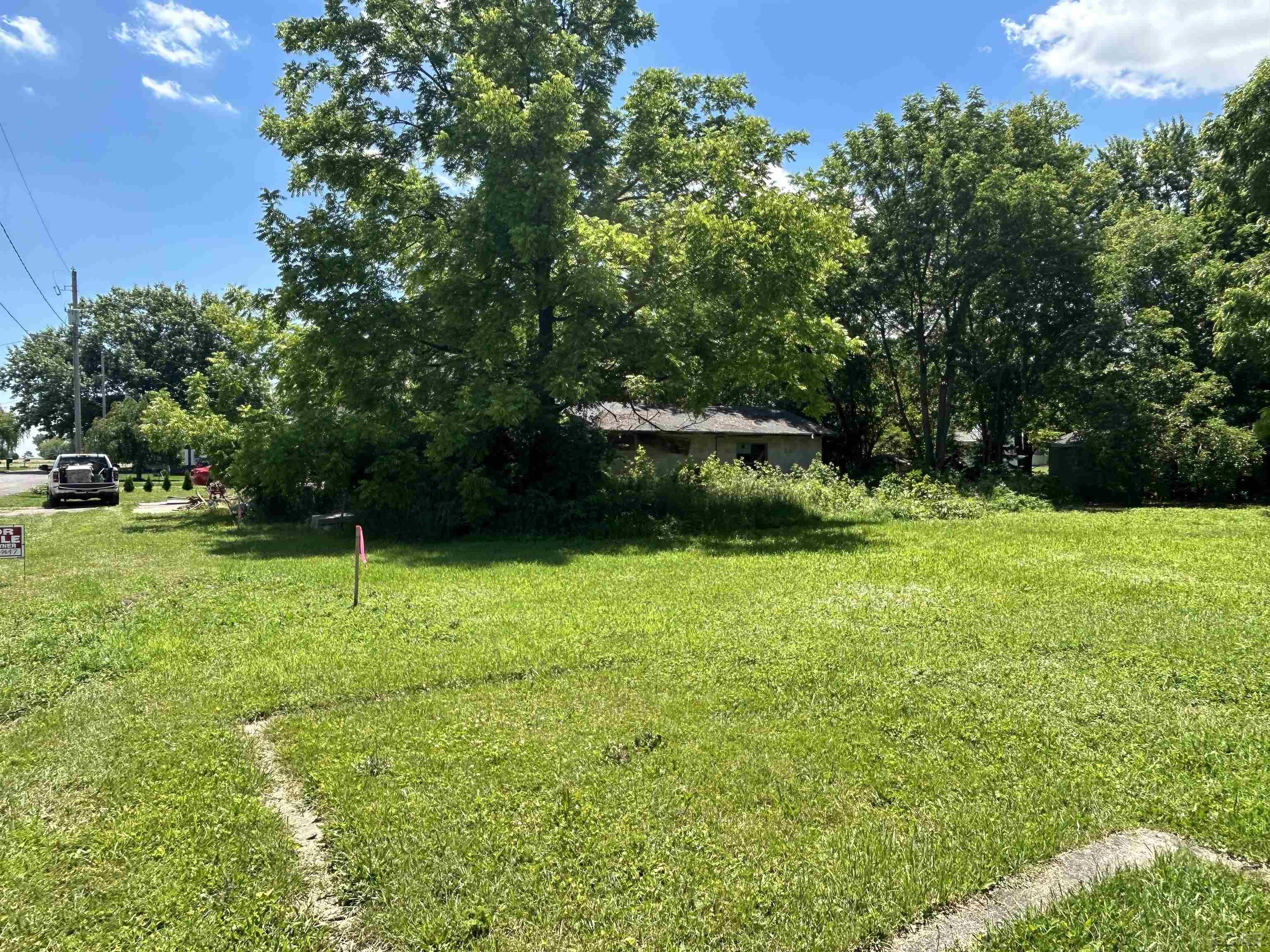 710 Parkwood Avenue Blissfield Village MI 49228