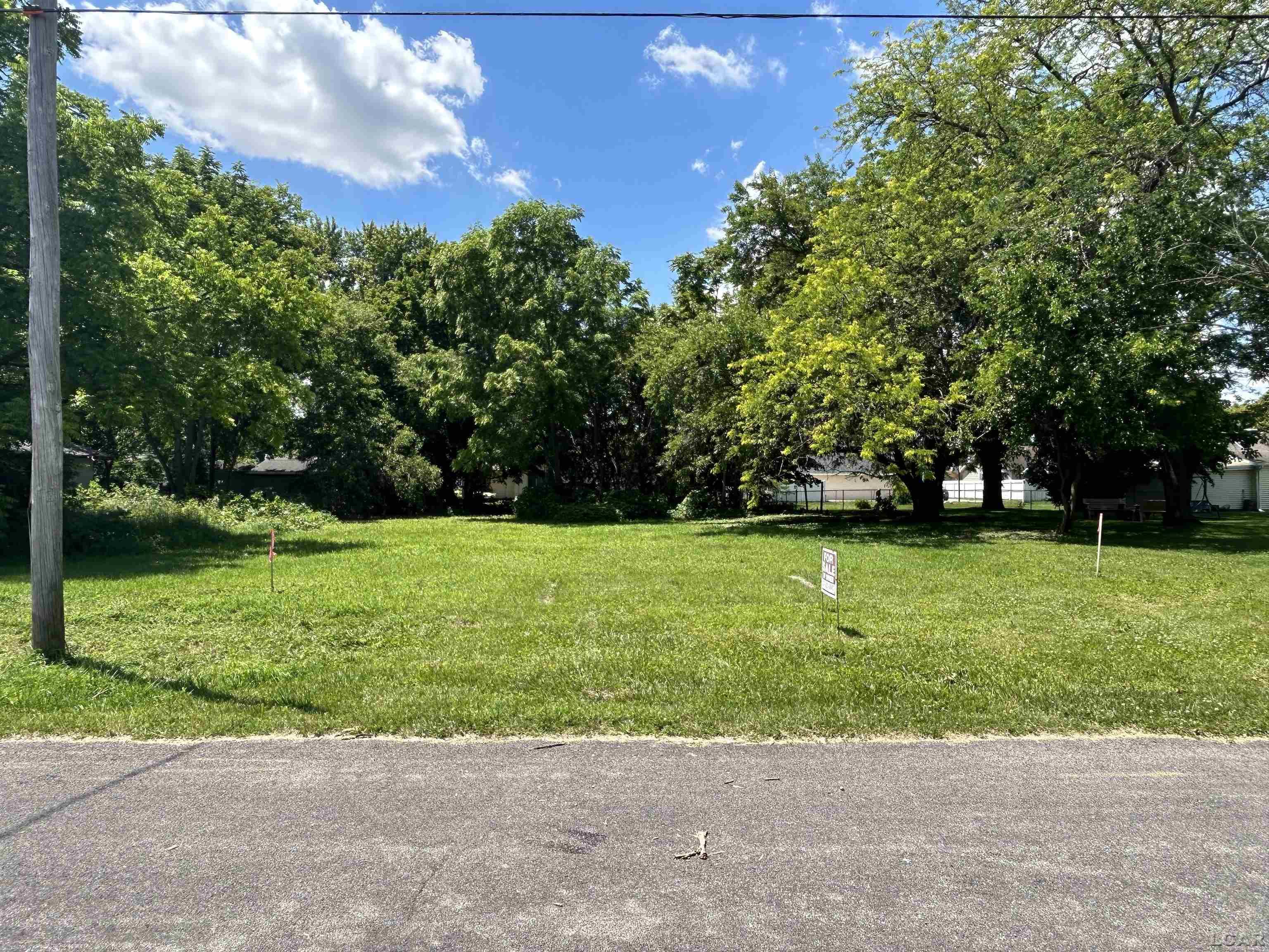 710 Parkwood Avenue Blissfield Village MI 49228