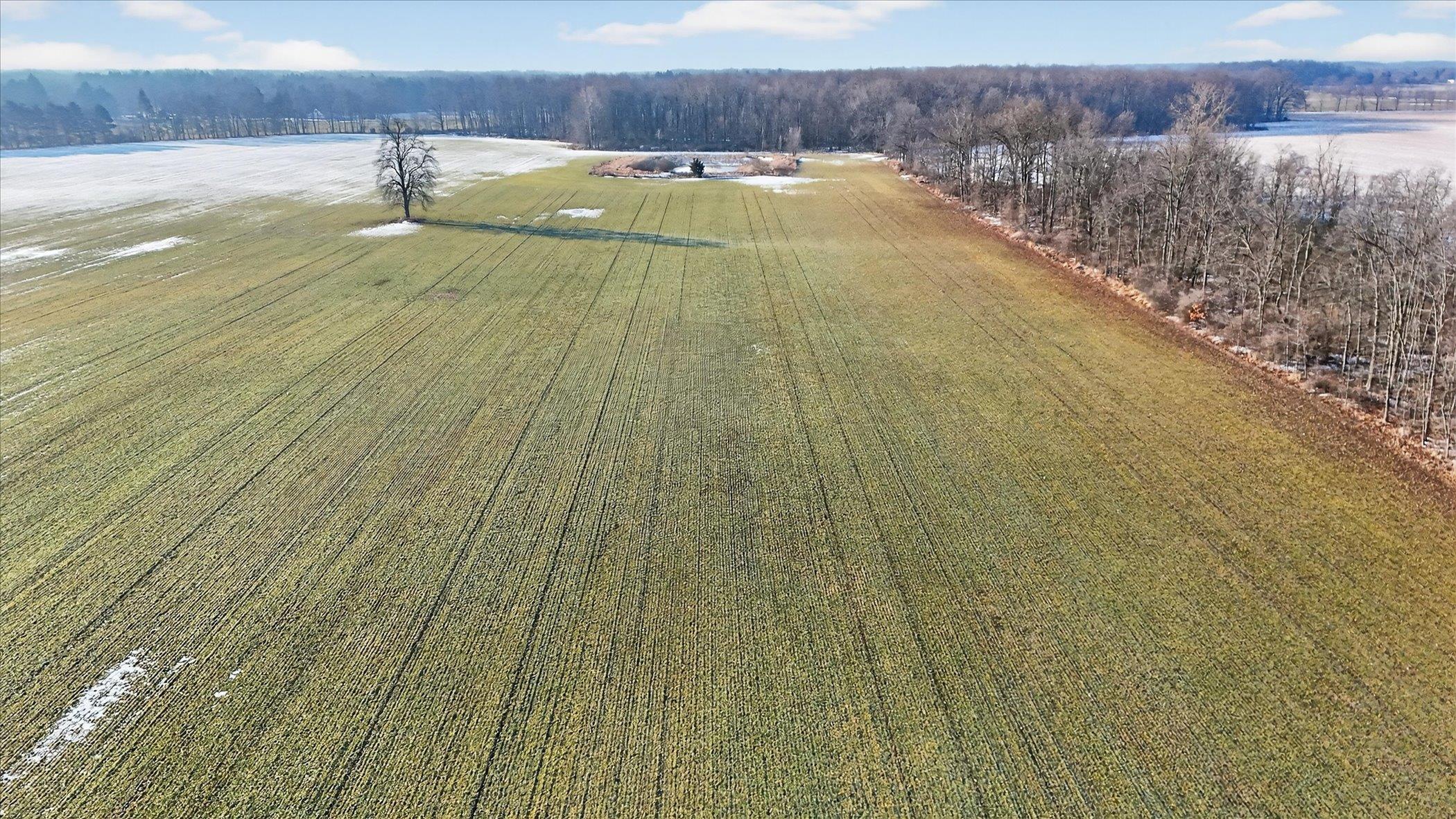 E Chadwick Road Olive Township MI 48820