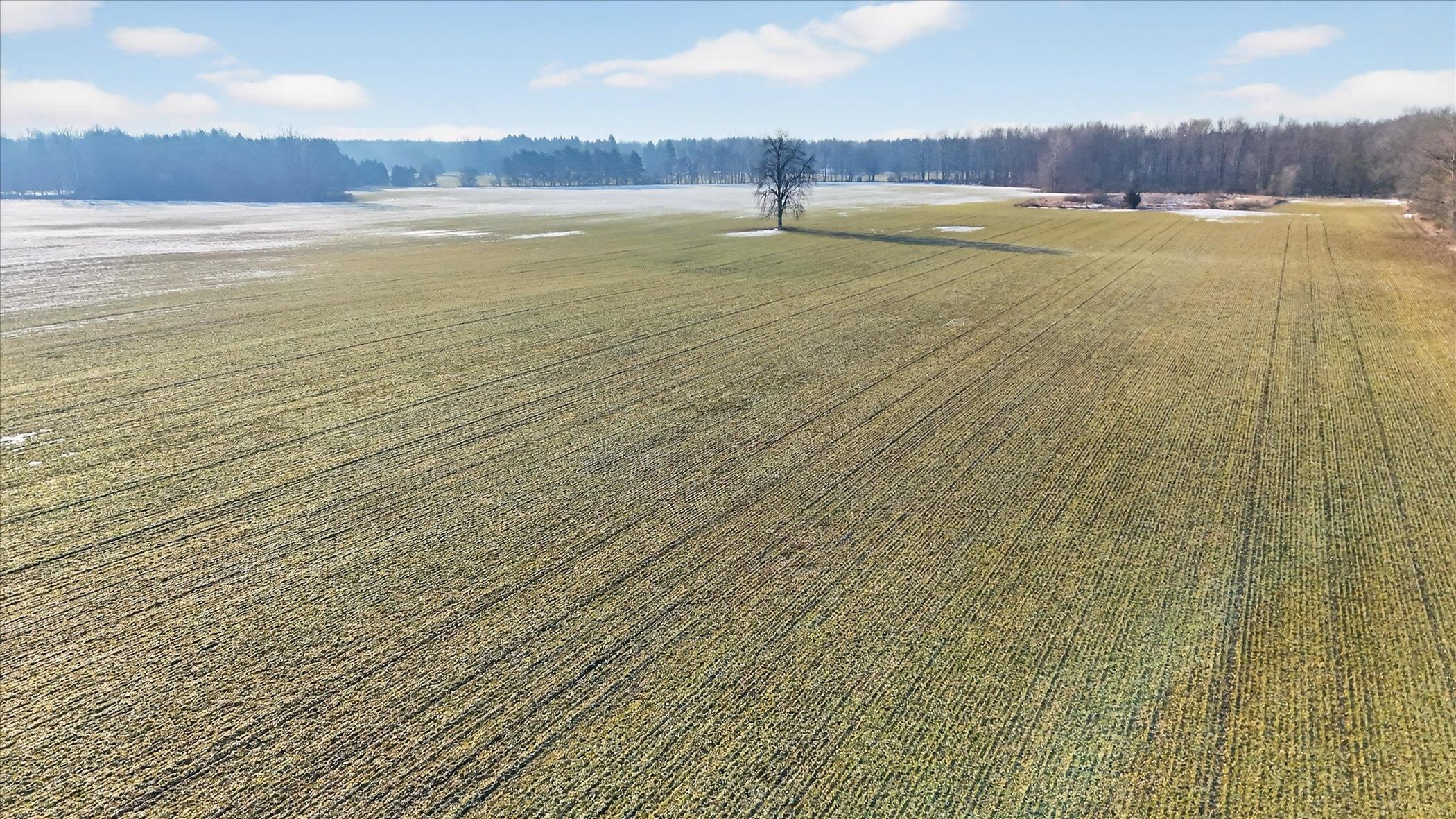 E Chadwick Road Olive Township MI 48820