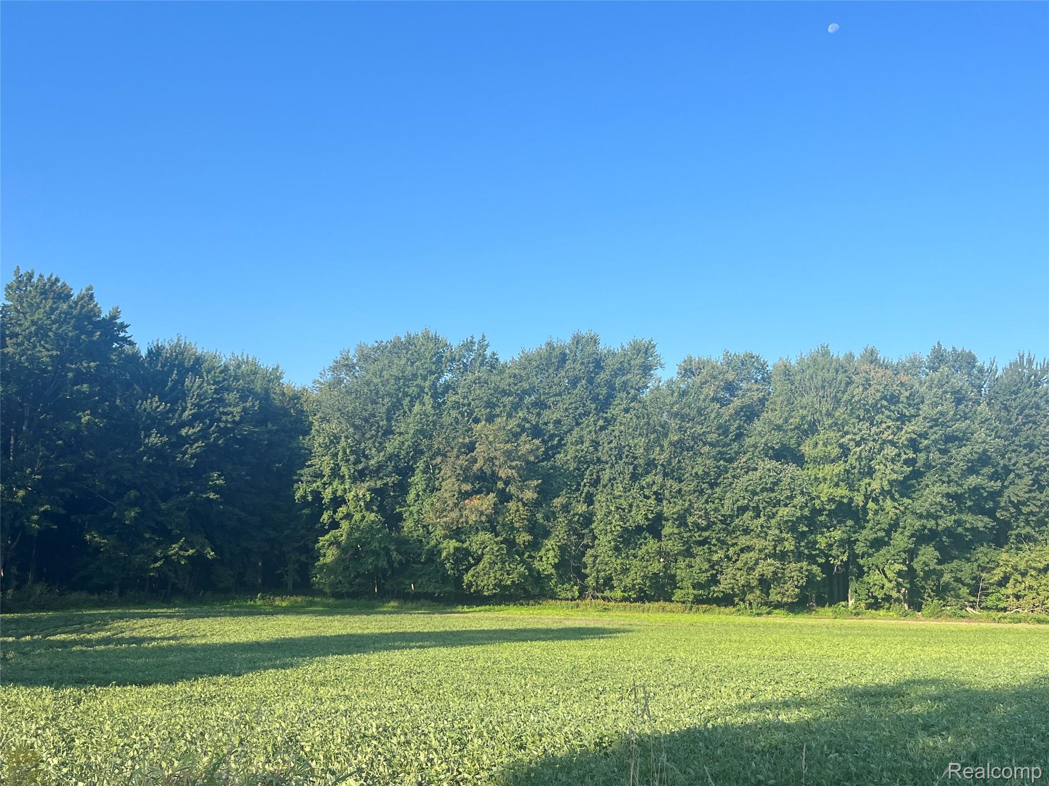 01 Howland Road Almont Township MI 48003