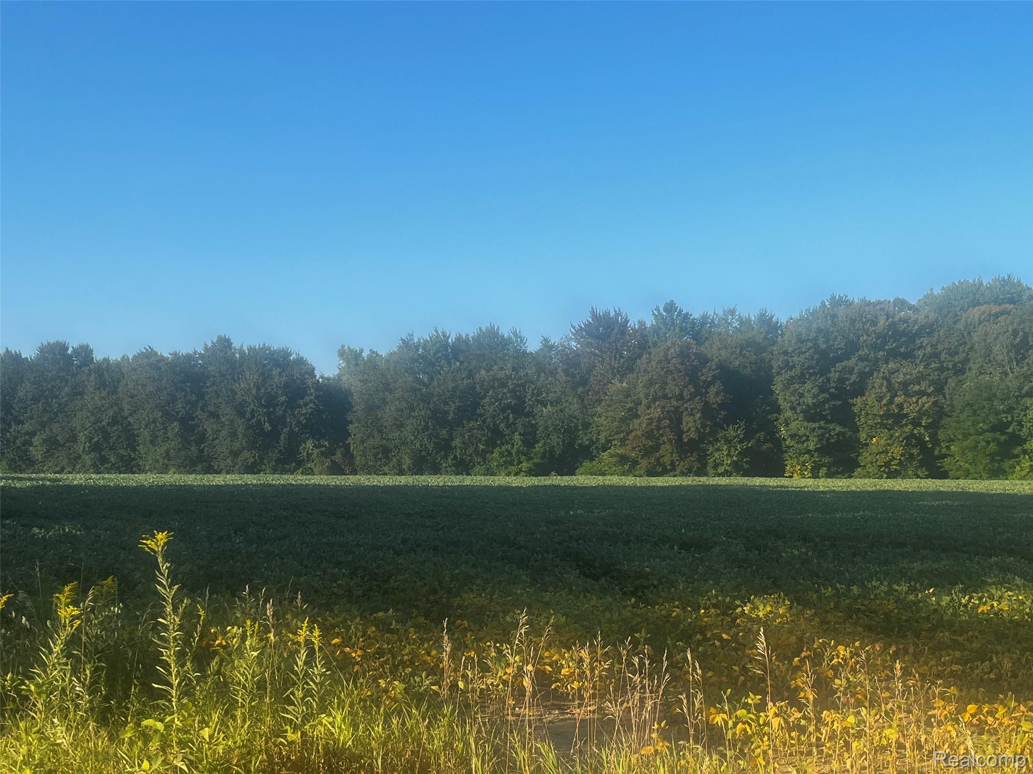 01 Howland Road Almont Township MI 48003