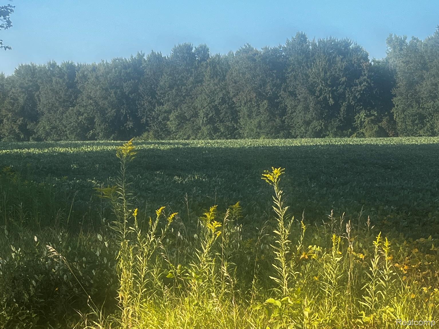 01 Howland Road Almont Township MI 48003