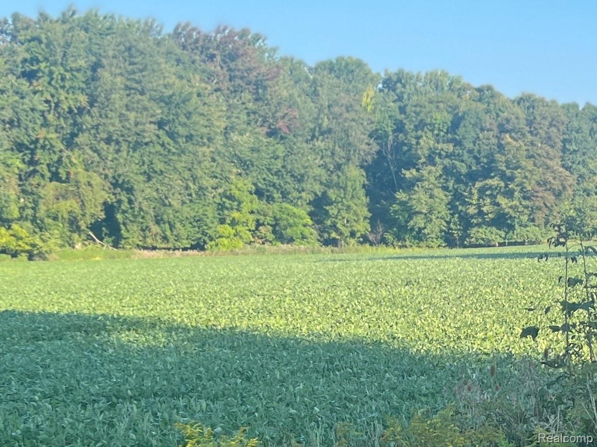 01 Howland Road Almont Township MI 48003