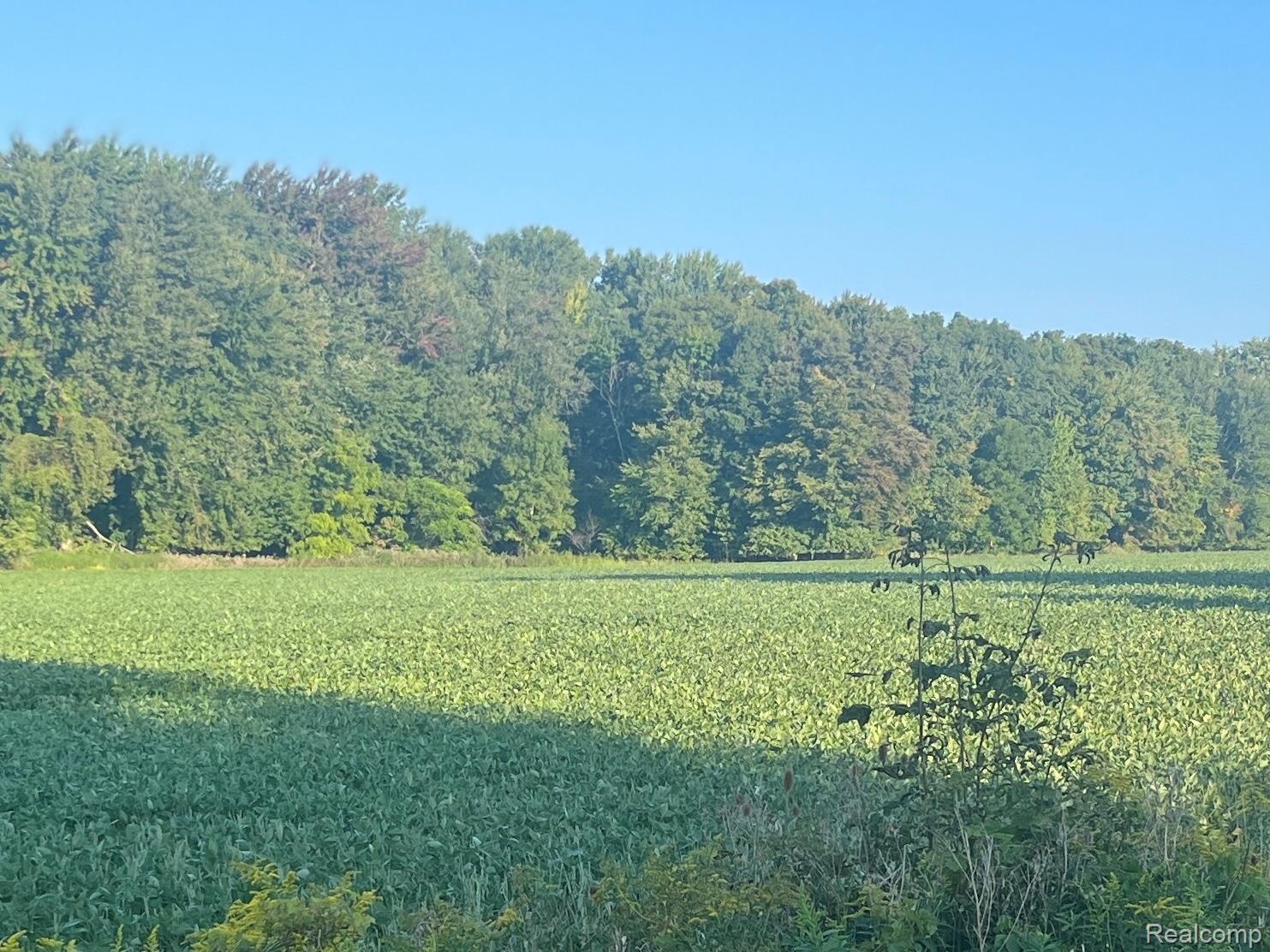 01 Howland Road Almont Township MI 48003