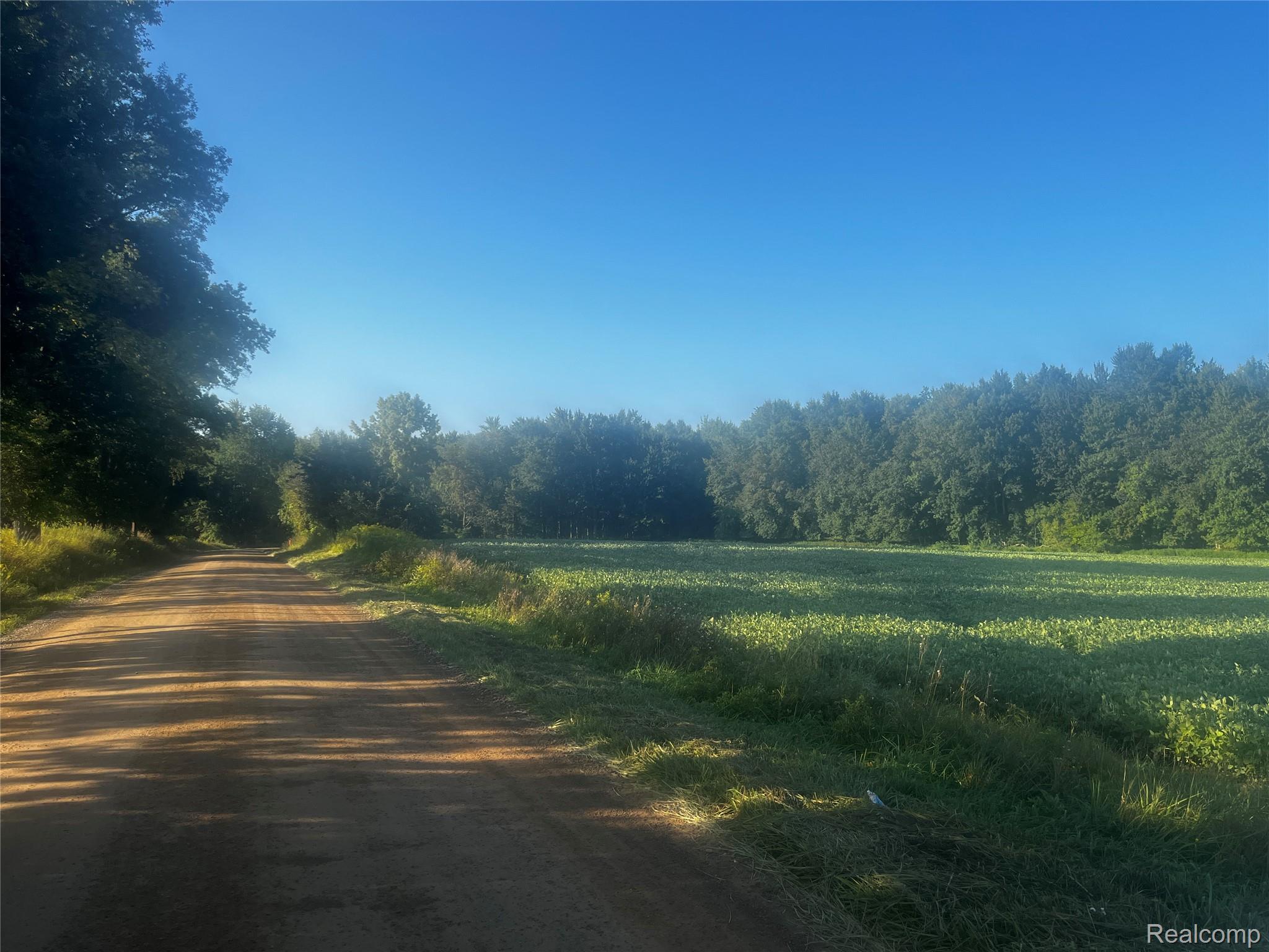 01 Howland Road Almont Township MI 48003