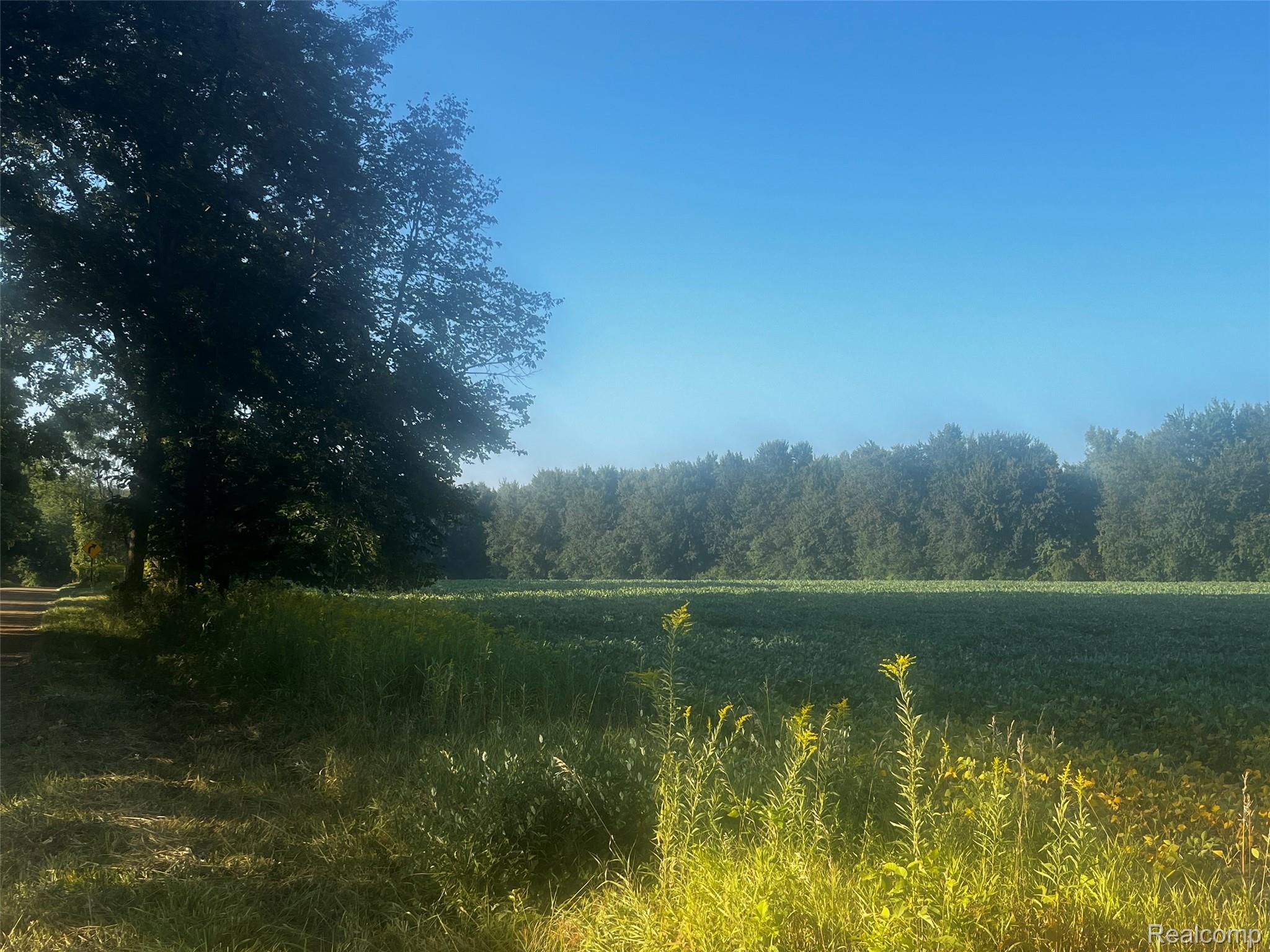 01 Howland Road Almont Township MI 48003