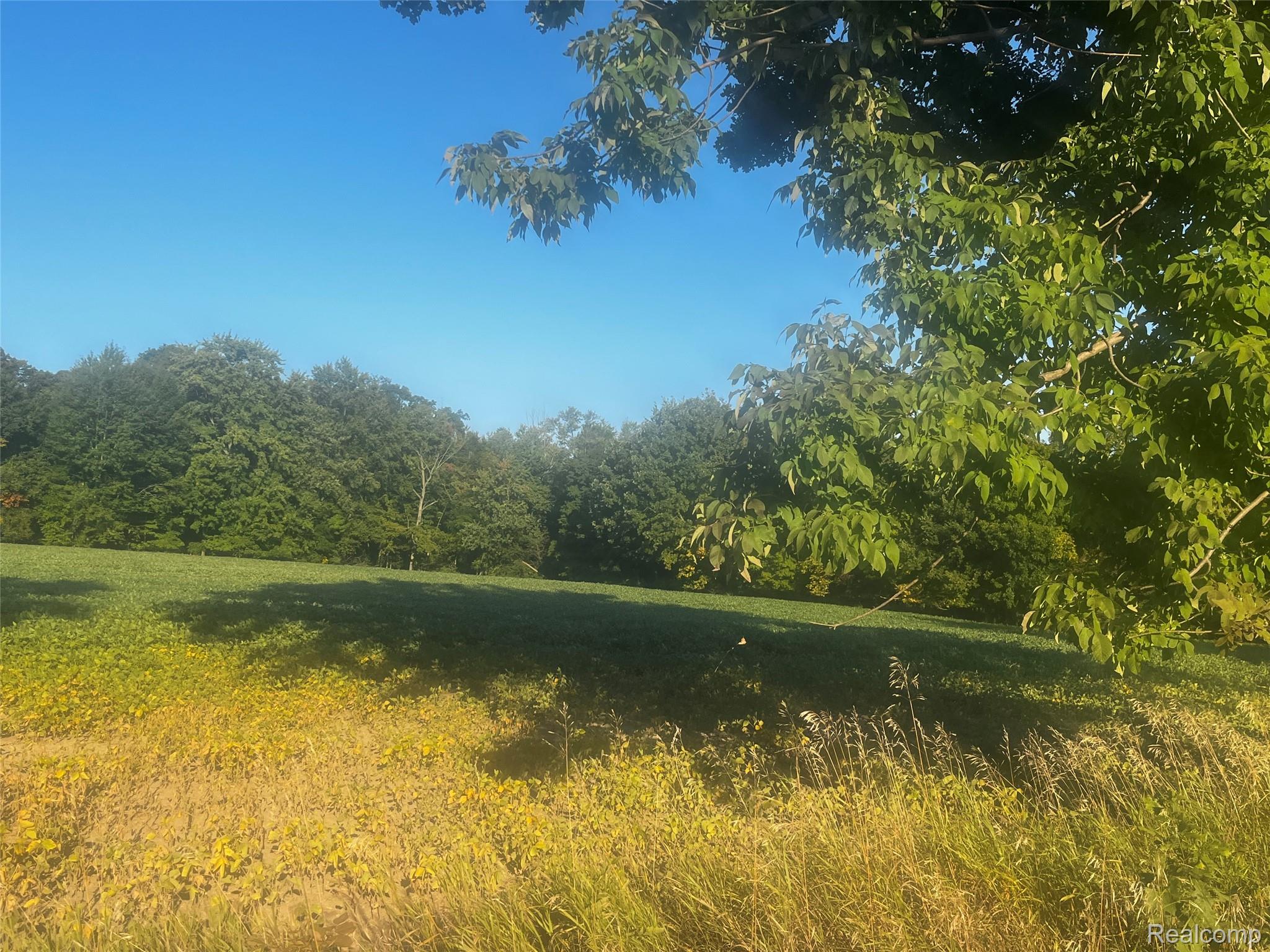 01 Howland Road Almont Township MI 48003