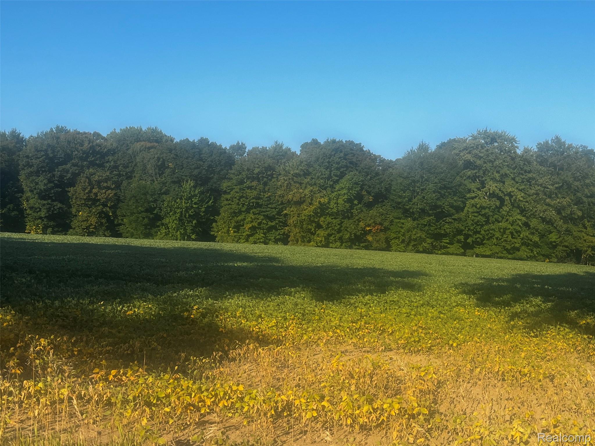 01 Howland Road Almont Township MI 48003