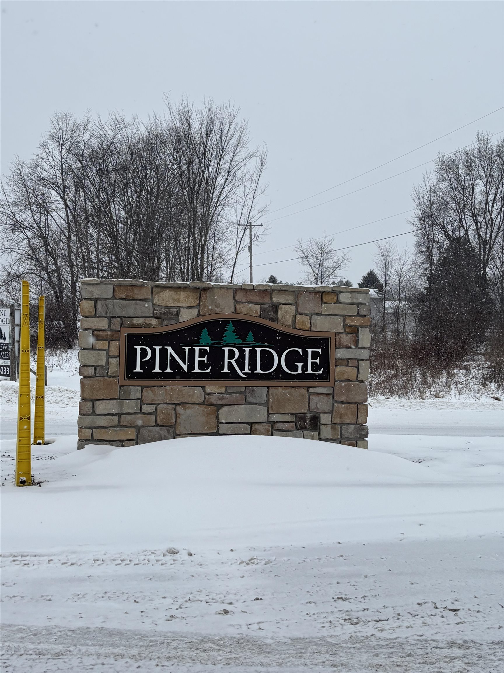 000 Pine Ridge Drive Deerfield Township MI 48858
