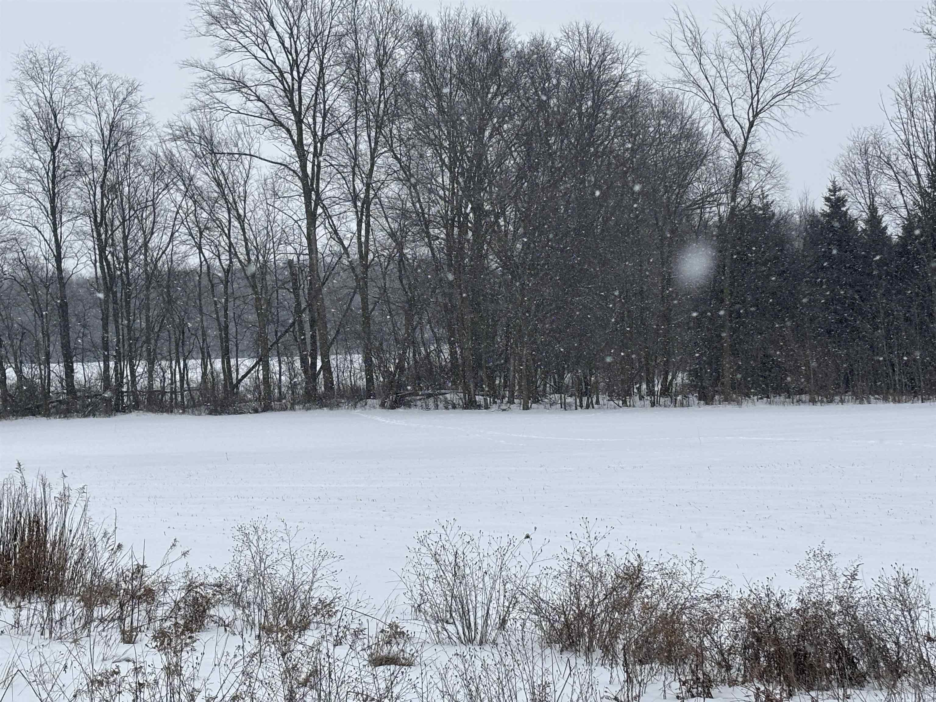 000 Pine Ridge Drive Deerfield Township MI 48858