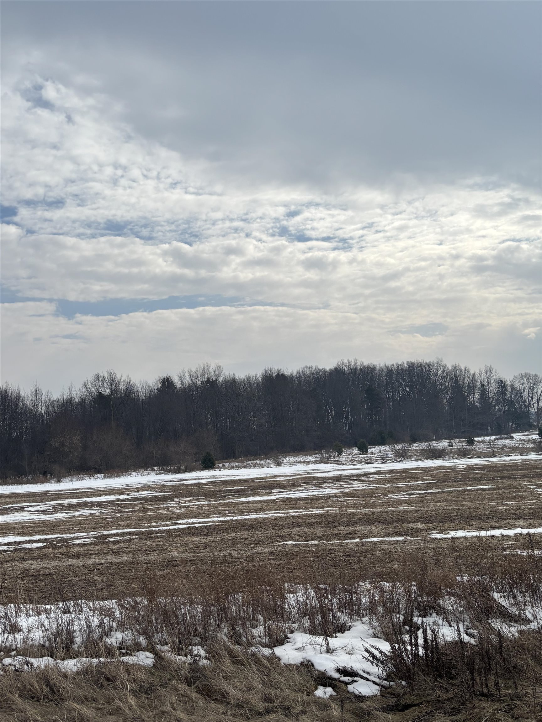 000 Pine Ridge Drive Deerfield Township MI 48858