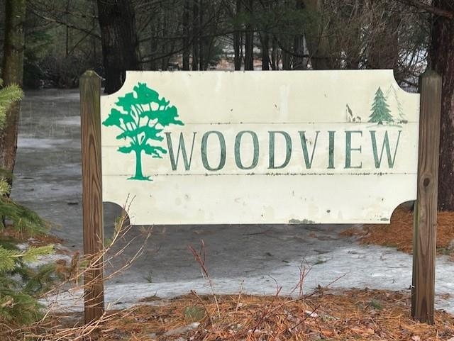 00 Manning Lane Baldwin Township MI 48730
