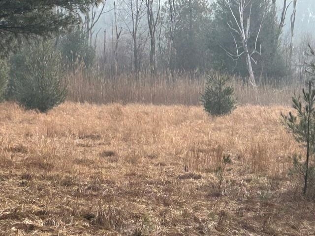 00 Manning Lane Baldwin Township MI 48730