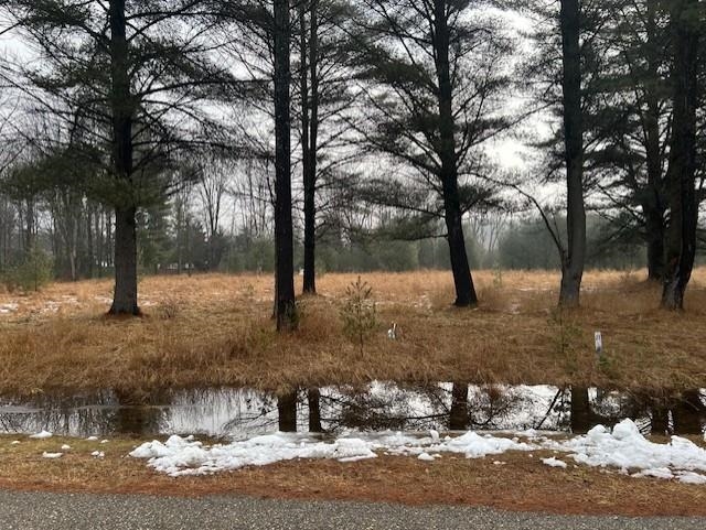 00 Manning Lane Baldwin Township MI 48730