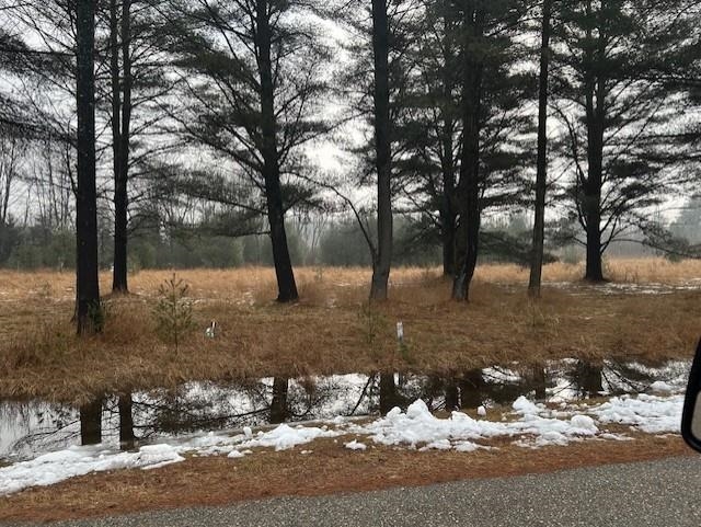 00 Manning Lane Baldwin Township MI 48730