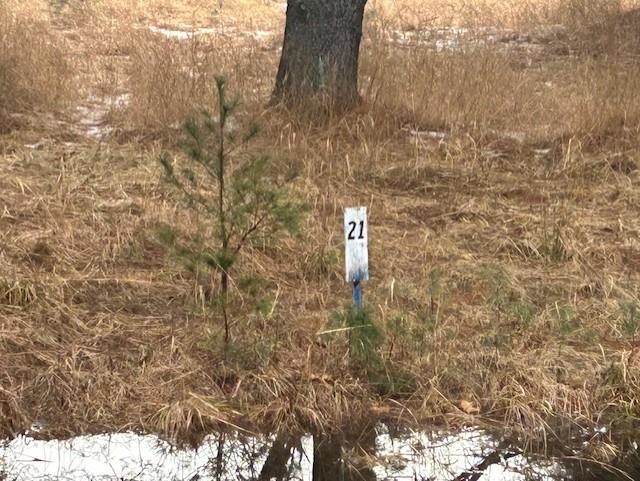00 Manning Lane Baldwin Township MI 48730