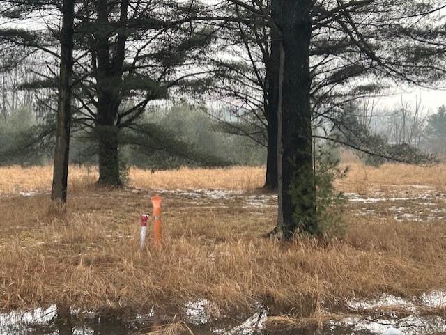 00 Manning Lane Baldwin Township MI 48730