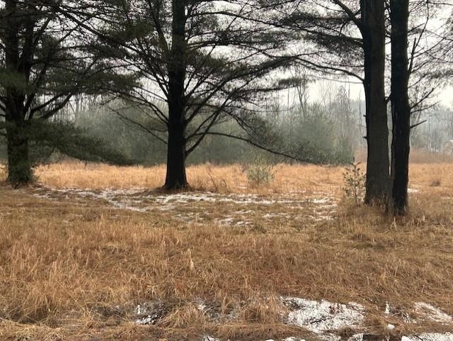 00 Manning Lane Baldwin Township MI 48730