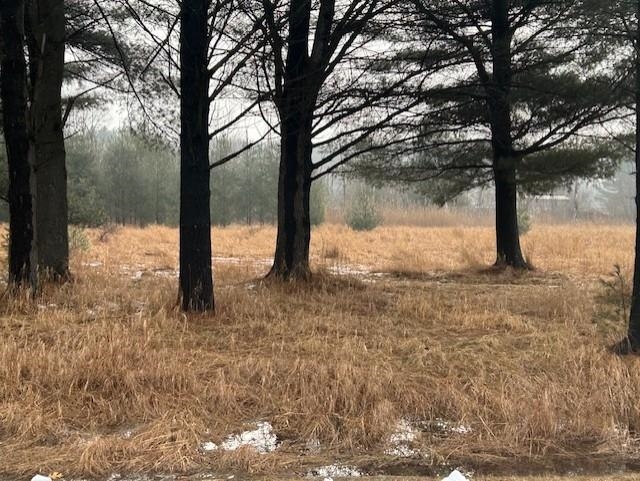00 Manning Lane Baldwin Township MI 48730