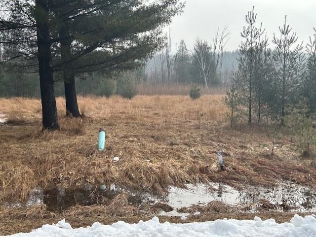 00 Manning Lane Baldwin Township MI 48730