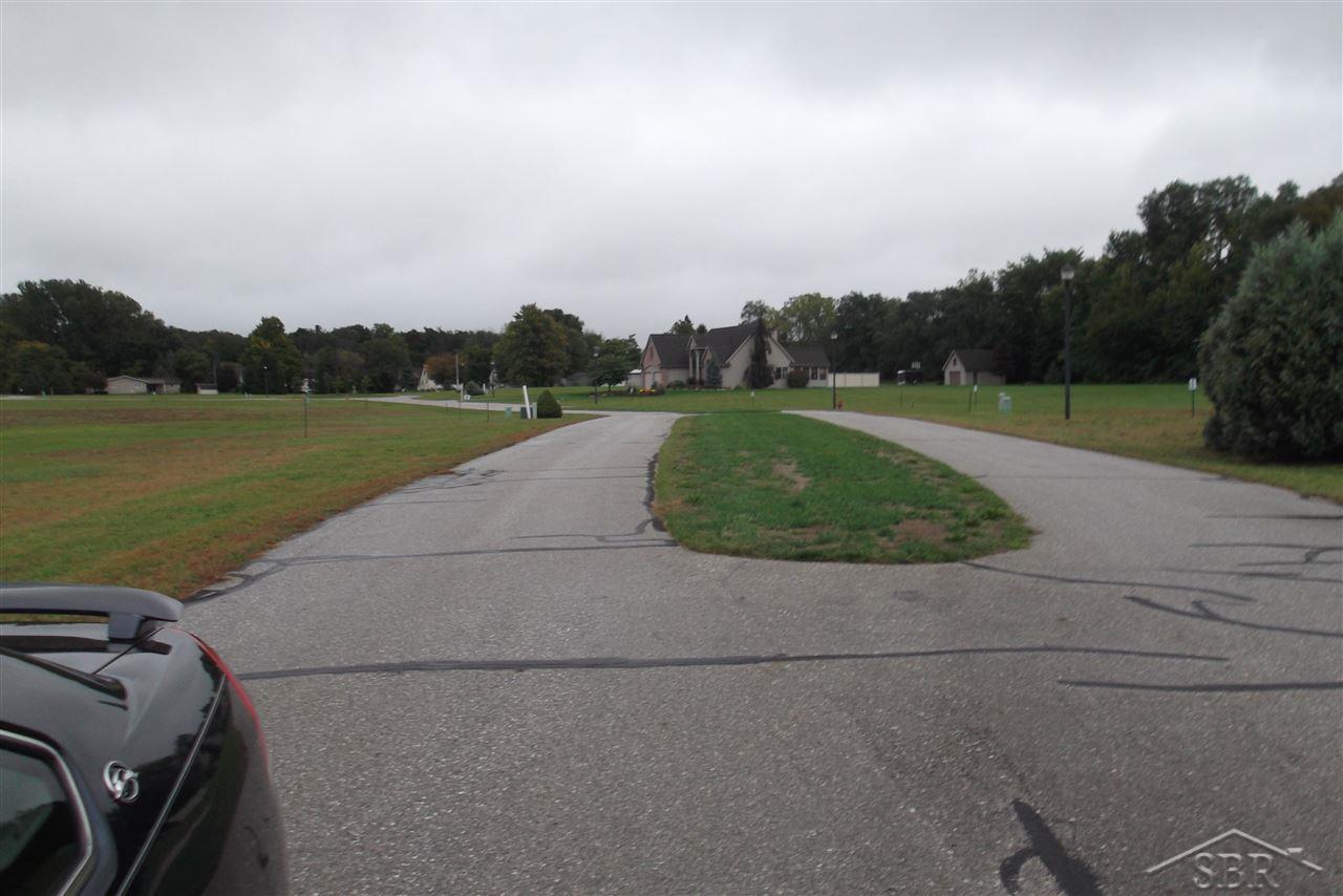 00 Adam Ridge Drive Sebewaing Village MI 48759