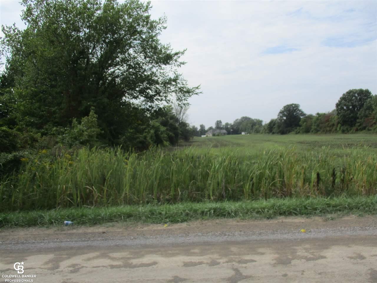 00 Cryderman Road Parcel #1 Richmond Township MI 48062