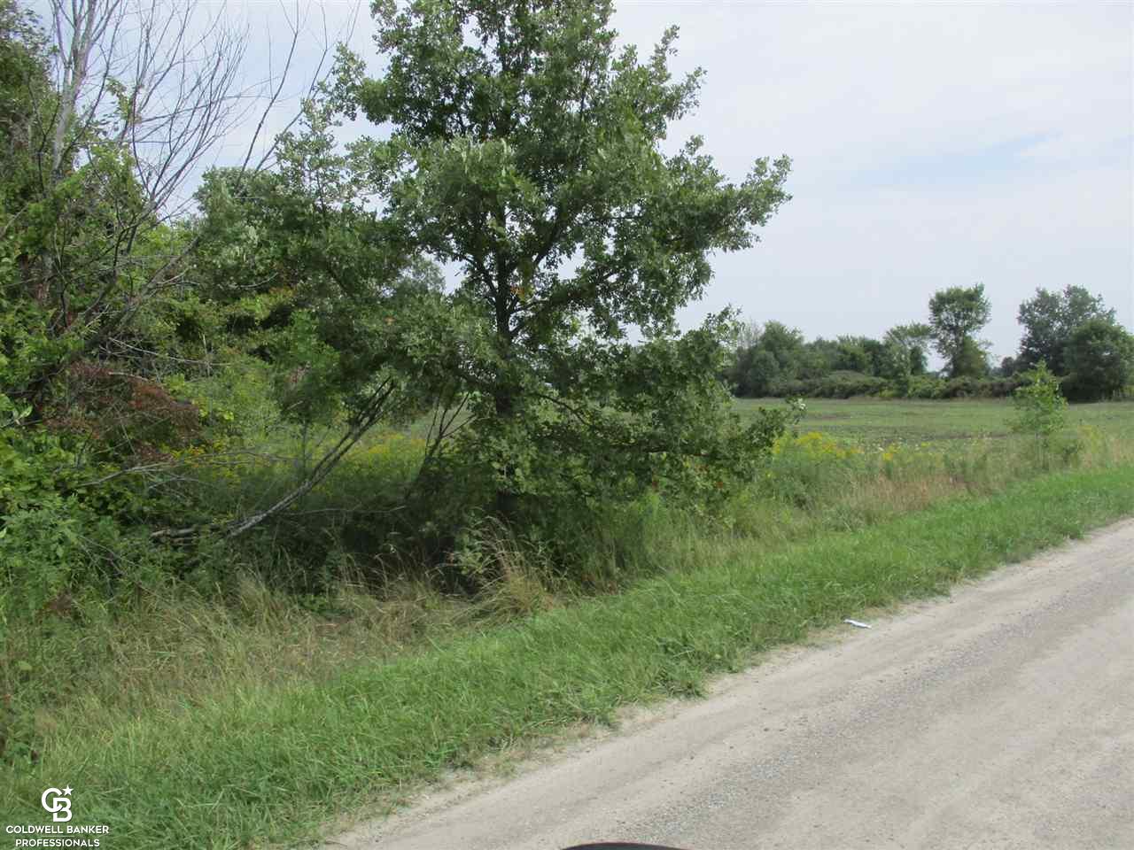 00 Cryderman Road Parcel #1 Richmond Township MI 48062