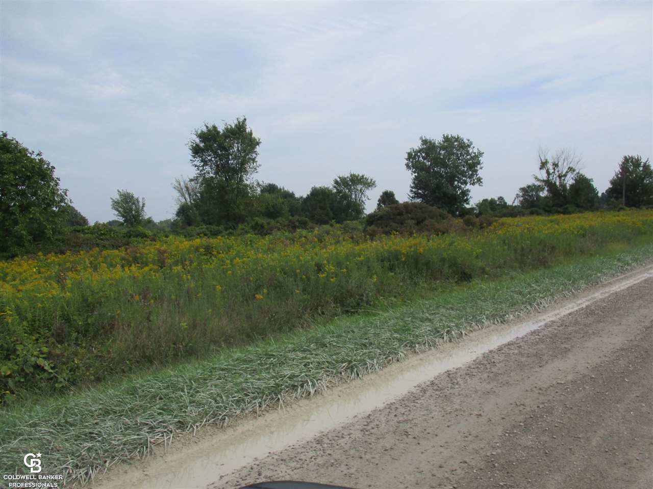 00 Cryderman Road Parcel #1 Richmond Township MI 48062